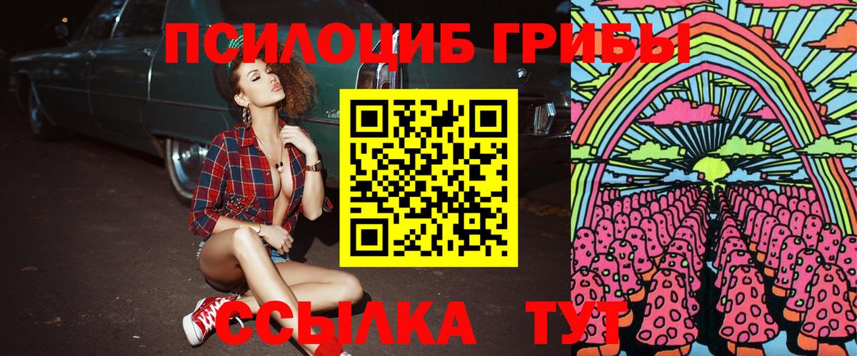 Протвино  Галлюциногенные грибы мицелий  Вход с VPN  Галлюциногенные грибы ЛСД 